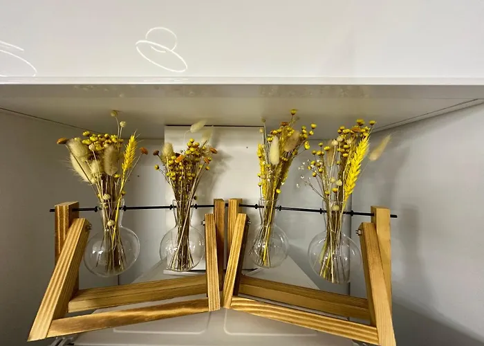 Studio303 By Allegio: Mamaia's Seaside Luxury Near Finest Clubs & Beaches Mamaia